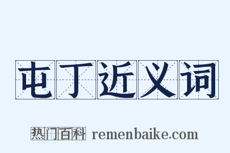 屯丁近义词是什么意思的图片